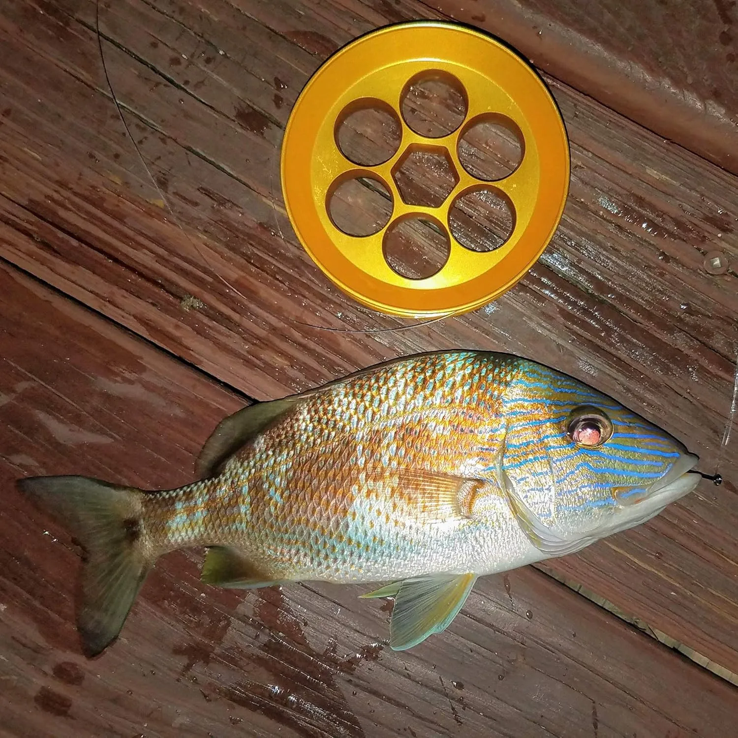 Aluminum Hand Line Reel Pocket/Travel Fishing Kit (30 lb Clear line)