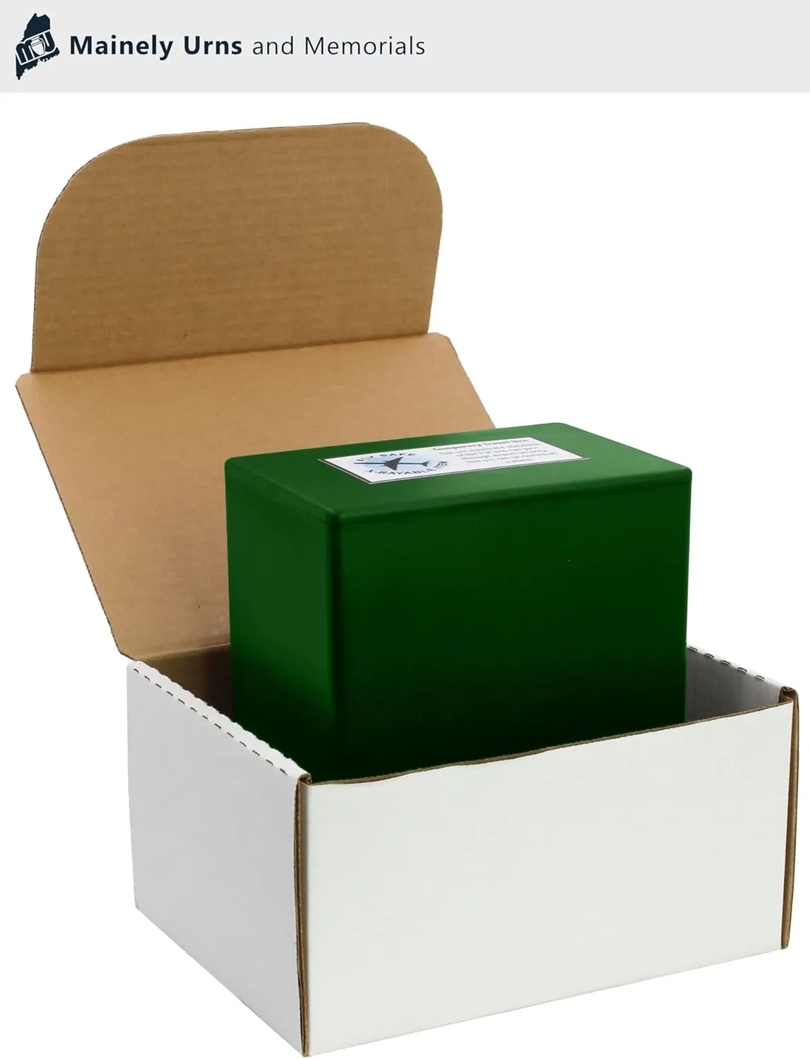 CarrySafe TSA-Approved Travel Urn Kit – Guaranteed Fly-Safe Temporary Cremation Urn for Human Ashes – Personalized, Airline Friendly, 200 Cu in, Green Plastic with Travel Box