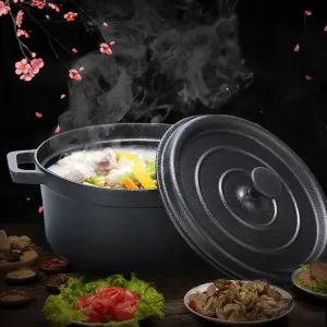 Cast Iron Stew Pot