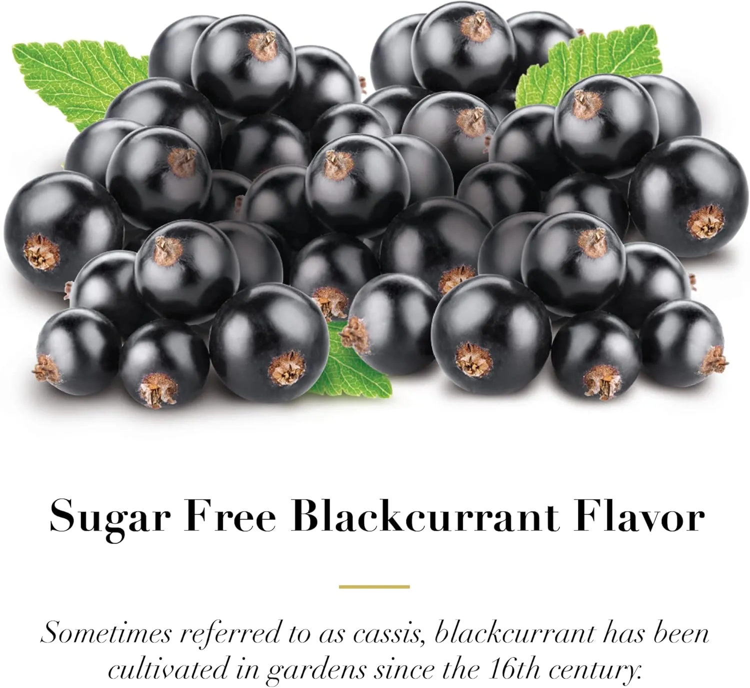 Dr. Doolittle’s Sugar Free Soft Fruit Pastilles for Voice and Throat, Blackcurrant Flavor, Multipack of 2.12 Ounce Tin, 3 Pack and .33 Ounce Travel Size Bag, 20 Pack