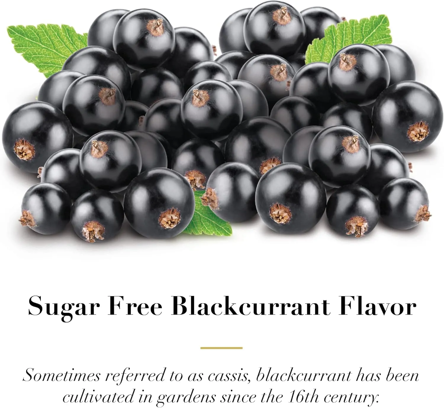 Dr Sugar Free Soft Fruit Pastilles for Voice and Throat, Blackcurrant Flavor, Travel Size Bag, Approximately 4 Count Package, 20 Pack