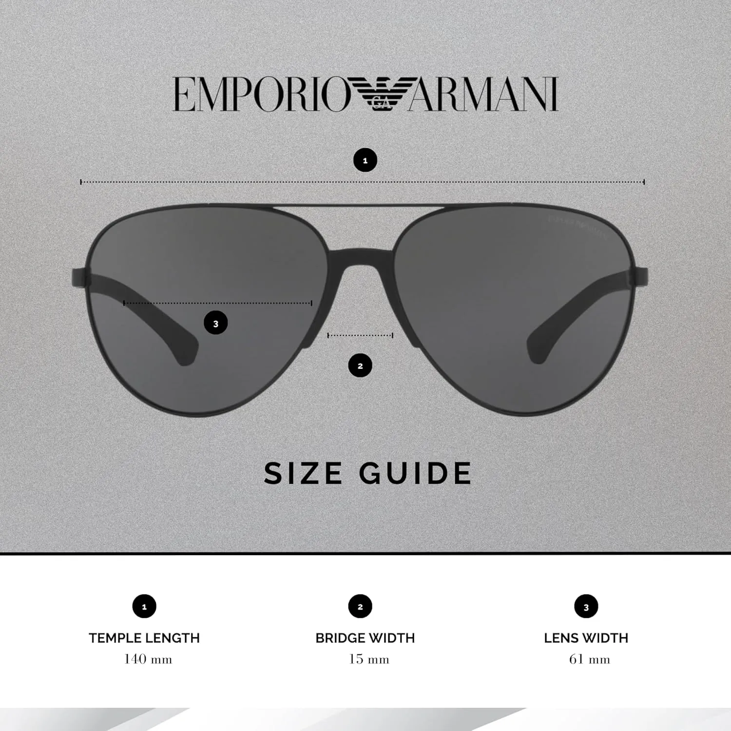 Emporio Armani EA2059 Aviator Sunglasses For Men   BUNDLE with Designer iWear Eyewear Care Kit