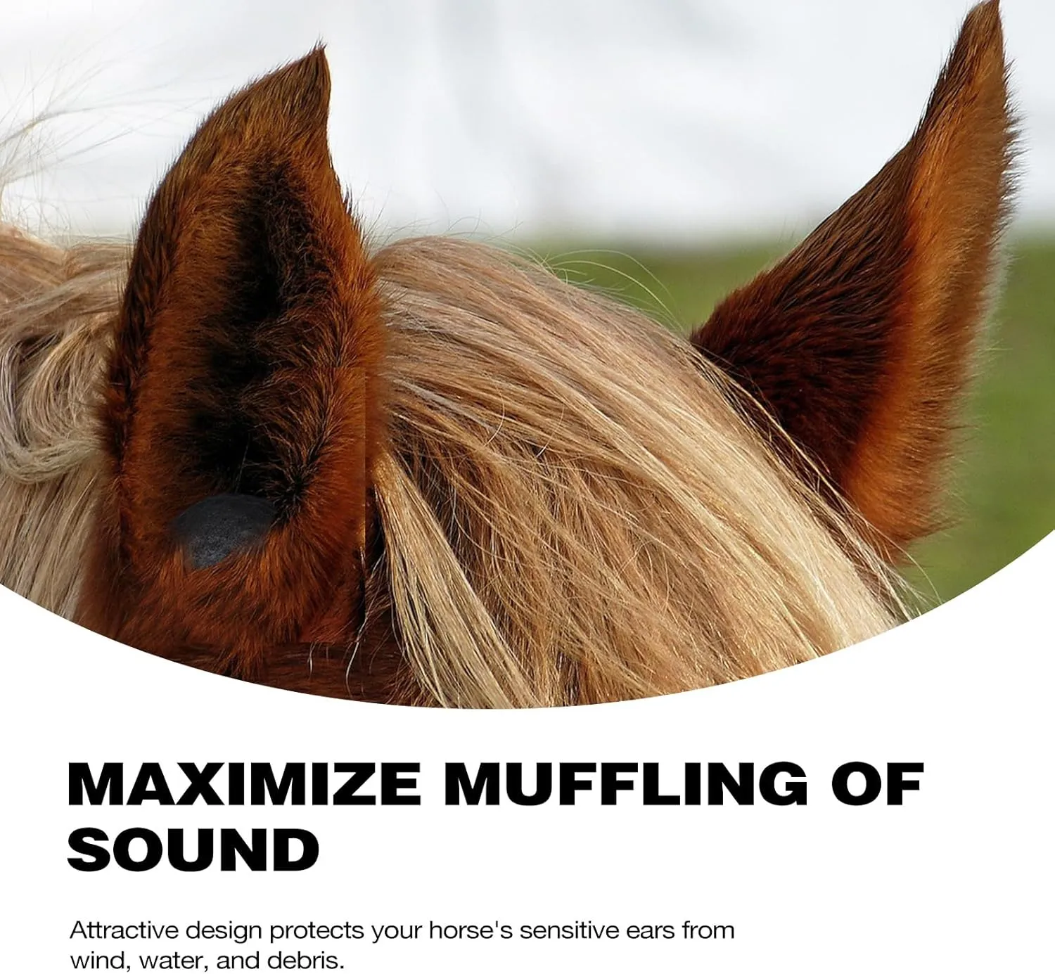 Harrison Howard EaseFit Equestrian Earplugs 3cm Horse Foam Ear Plugs Balls 4 PCS-Mars Black