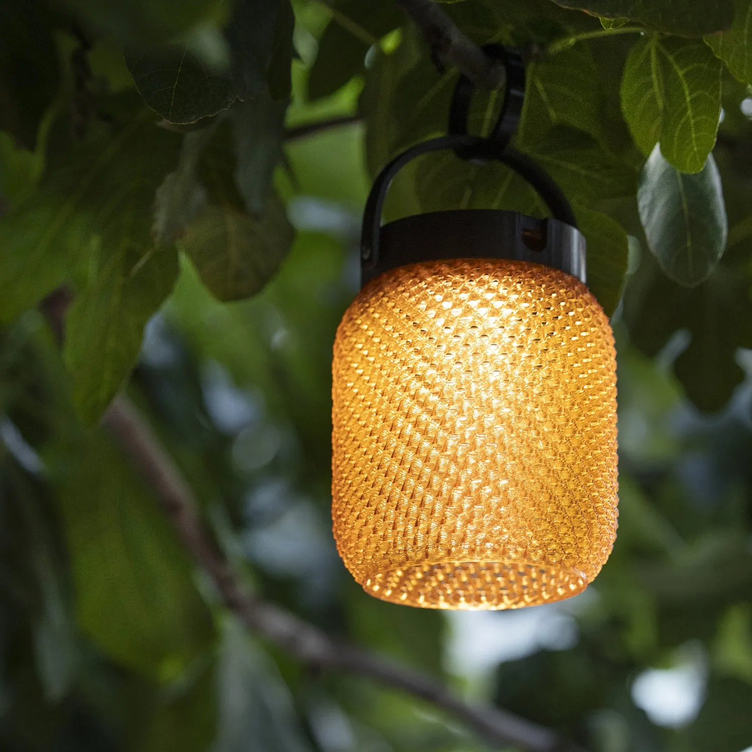 Les Jardins Lolie Solar Table Lamp