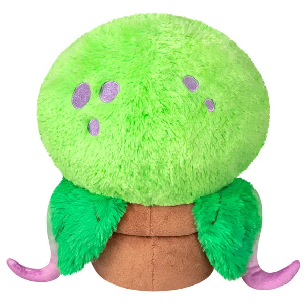 Mini Squishable Venus Flytrap