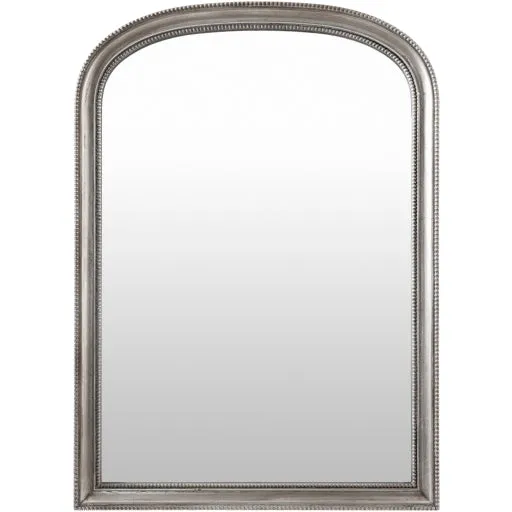 Nalanda Traditional Elegance 42"H x 30"W Mirror