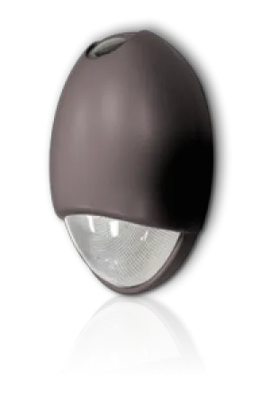 Outdoor teardrop LED Die Cast STD