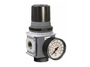 P32RB93BNGP Series P32RB Compact Regulator with Round Gauge, Relieving Relief, Non-Rising Knob, 8 bar/125 psig/0.8 Mpa Range, Plastic Panel Mount Nut, 3/8" NPT Port