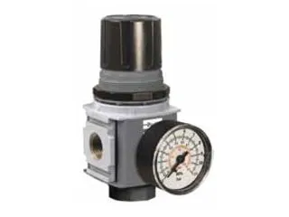 P32RB93BNGP Series P32RB Compact Regulator with Round Gauge, Relieving Relief, Non-Rising Knob, 8 bar/125 psig/0.8 Mpa Range, Plastic Panel Mount Nut, 3/8" NPT Port