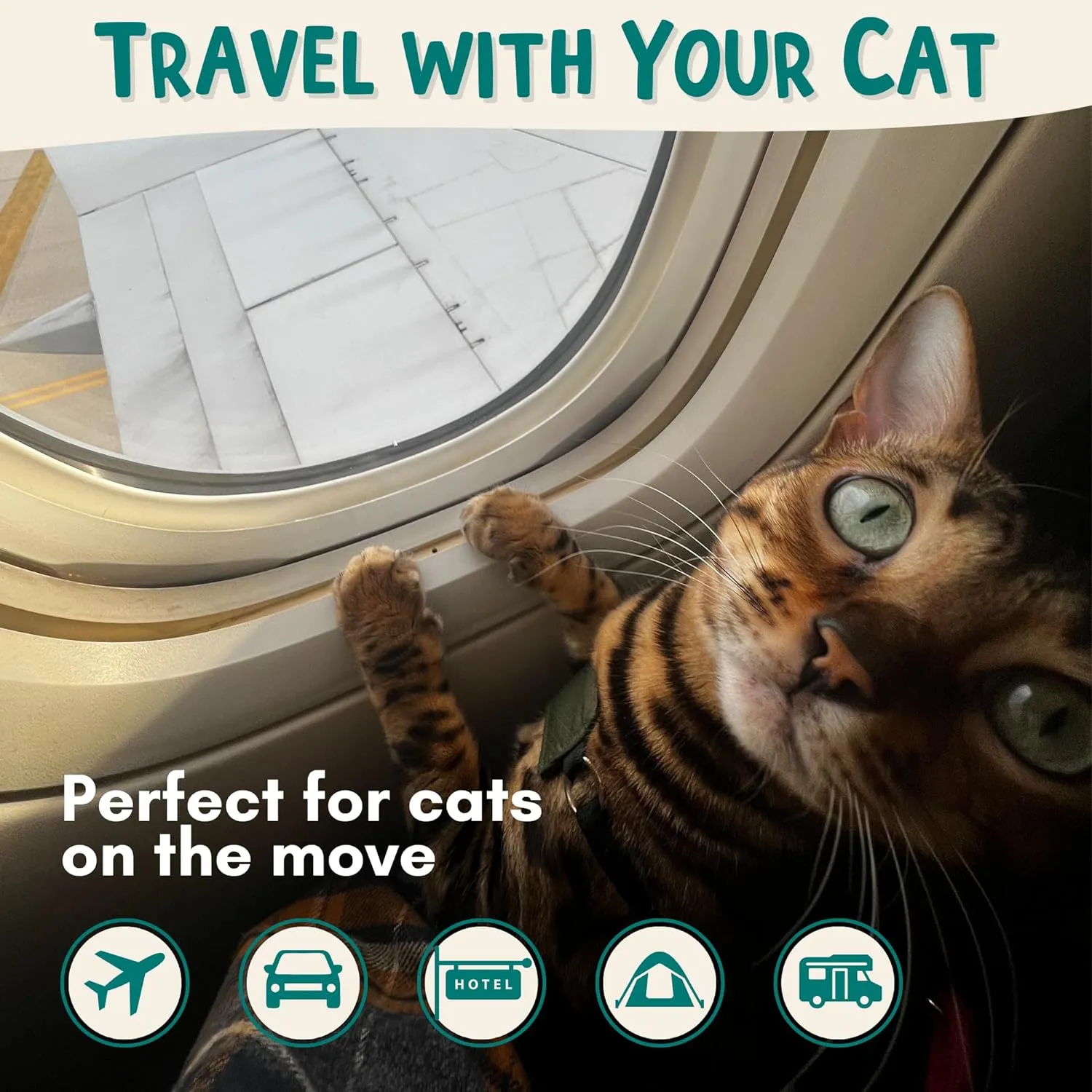Portable Litter-Bag by OutdoorBengal, Mess Free, Leak Proof Bag with Lid for Traveling with Cats, Emergency Evacuation Litter Kit (Air, Car, Van, Camping, Plane and Hotel Traveling with Your Kitty)