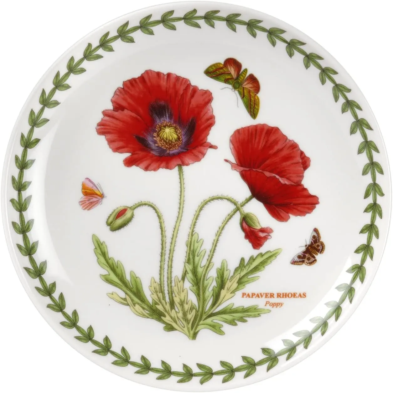Portmeirion Botanic Garden 6-Inch Coupe Plate, Poppy Motif - Durable Porcelain, Mix-and-Match Elegant Tableware - Dishwasher, Microwave, Oven, Freezer Safe