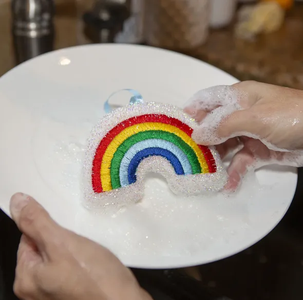 Rainbow Sponges