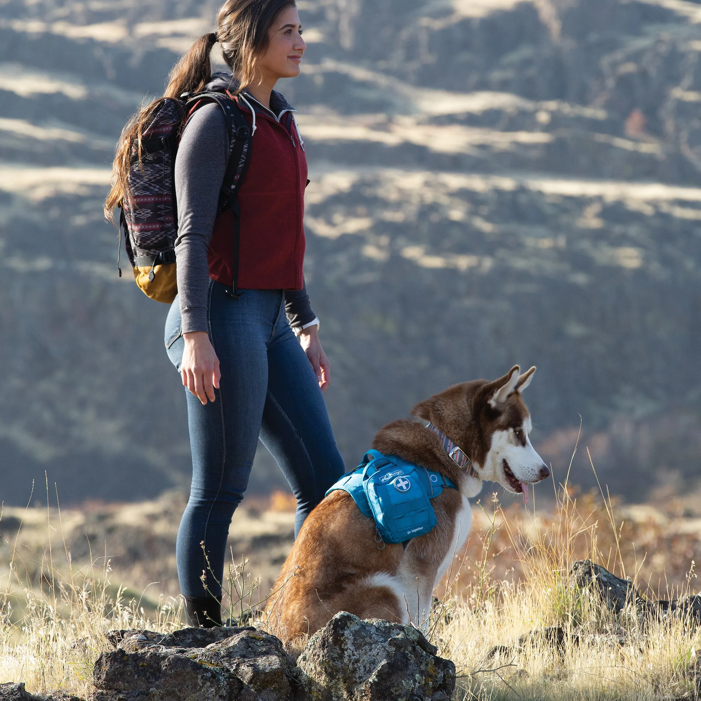 RSG Dog First Aid Kit