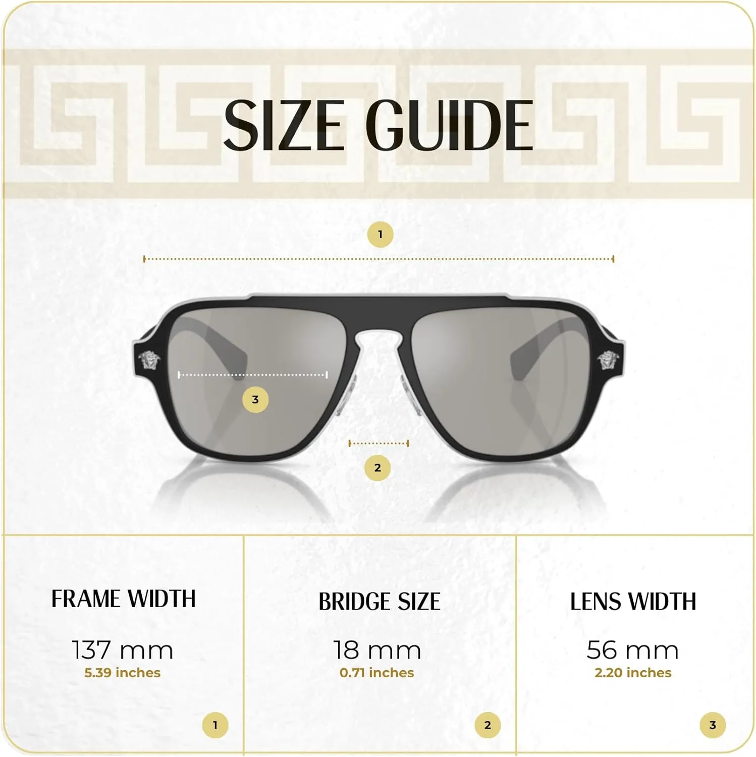 Versace VE2199 MEDUSA CHARM Square Sunglasses For Men   BUNDLE with Designer iWear Eyewear Care Kit