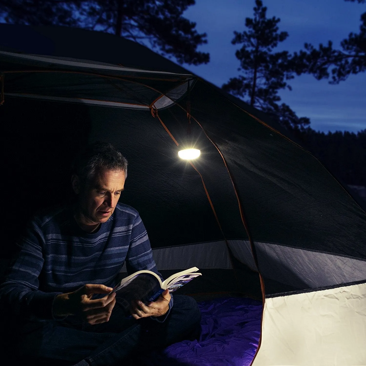 Wagan LED Brite-Nite Dome Lantern Flashlight for Camping, Hiking and Emergencies