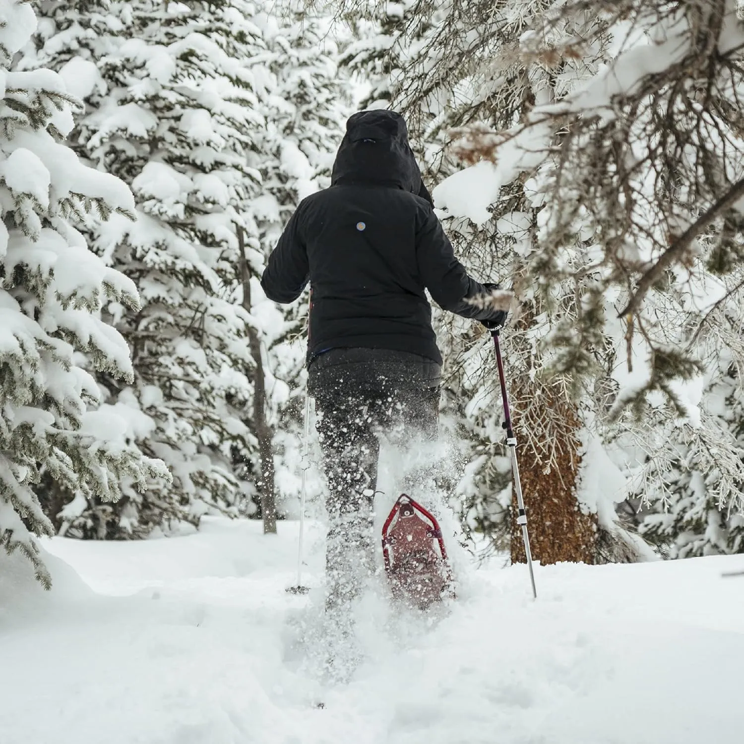 Yukon Charlie's Advanced Float Women's Snowshoe, Various Sizes